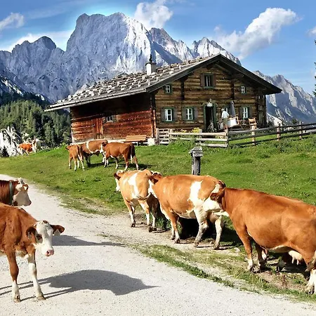 Schweinoester *
