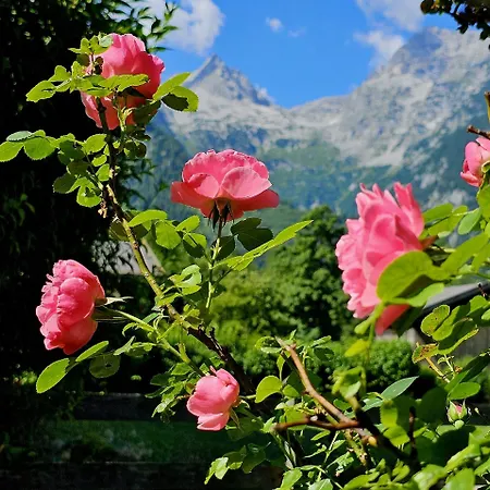 Schweinoester Lejlighed Lofer